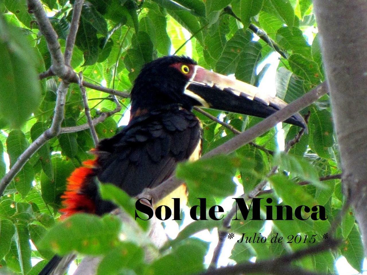 Sol de Minca Eco Lodge Exterior foto